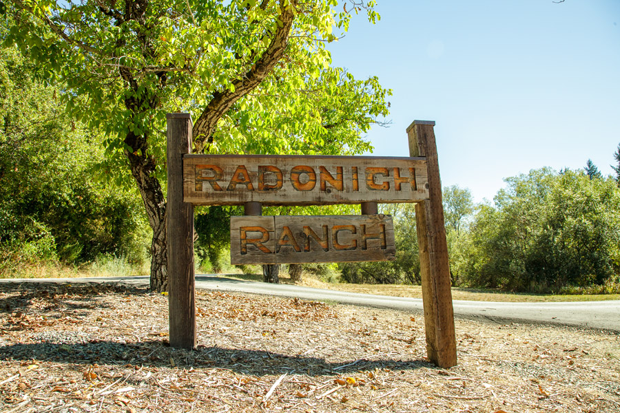 Beautiful Wedding at the gorgeous Radonich Ranch in Los Gatos