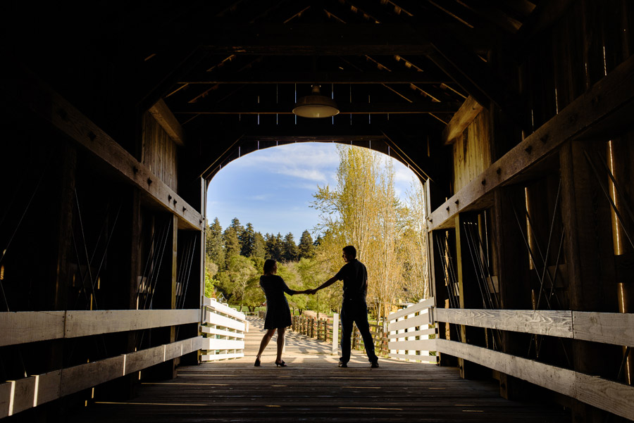 Engaged at Roaring Camp